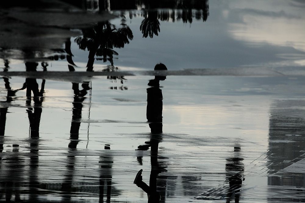 rainy reflections